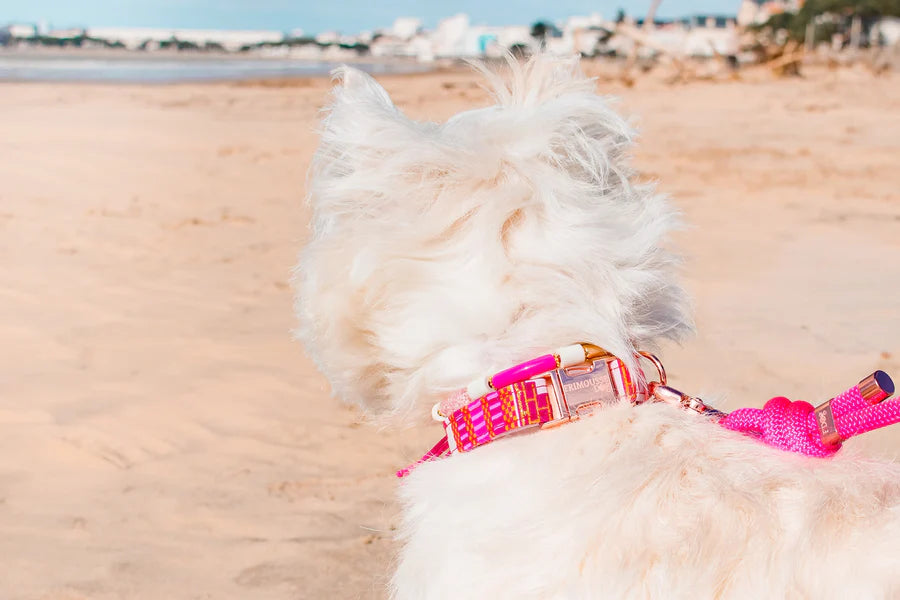 Collier pour chien en tissu artisanal Britney Frimousse Dog – Frimousse Dog – DOG DéliCAT
