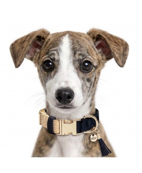 Collier réglable Selena paille marine Milk & Pepper – Milk & Pepper – DOG DéliCAT