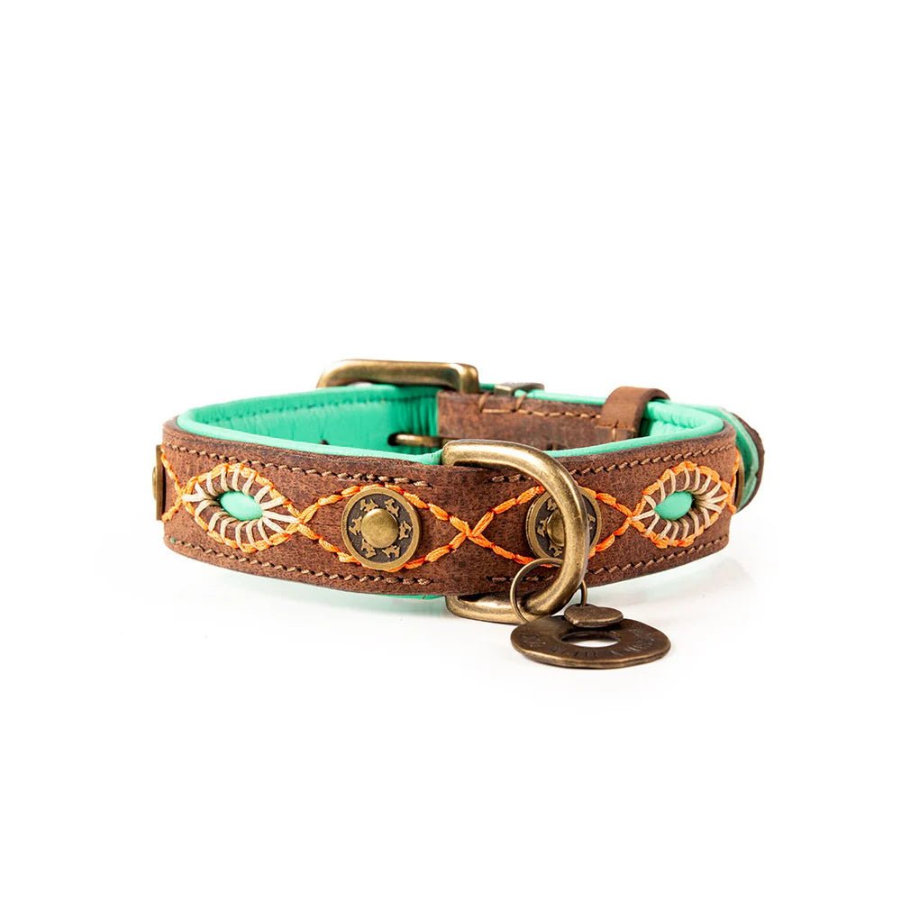 Collier Urban Joplin – L’élégance brute pour chiens citadins - DOG WITH A MISSION - DOG DéliCAT