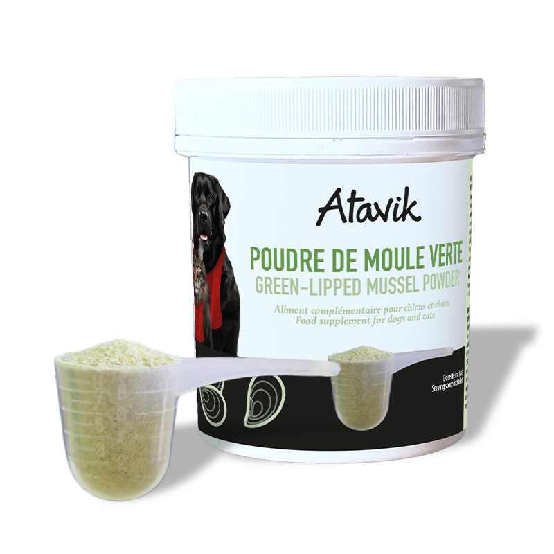 Poudre de moule verte Atavik – complément articulations chien chat