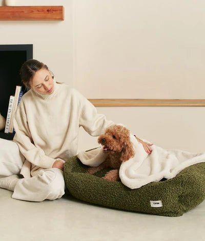 Couverture chien effet fourrure beige Toia - CAFIDE - DOG DéliCAT