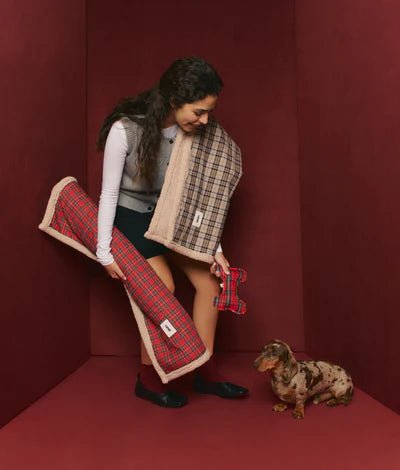 Couverture chien tartan Windsor Toia - CAFIDE - DOG DéliCAT