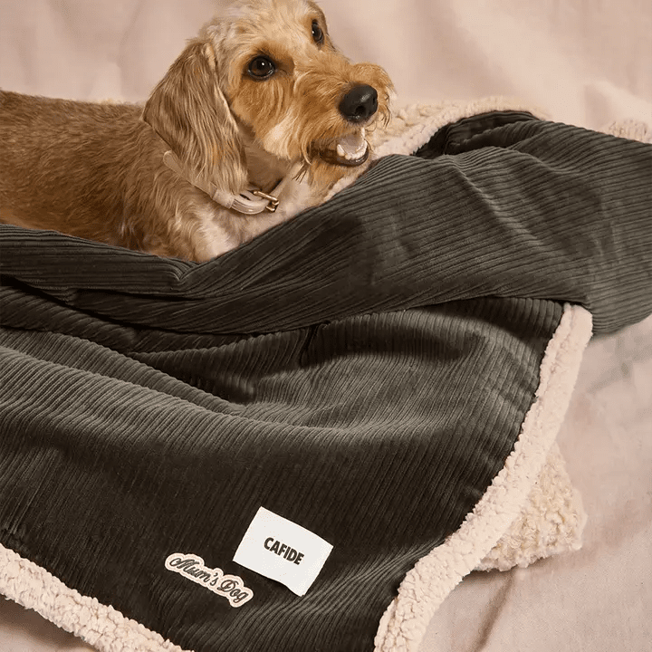 Couverture chien velours côtelé vert Toia – CAFIDE – DOG DéliCAT