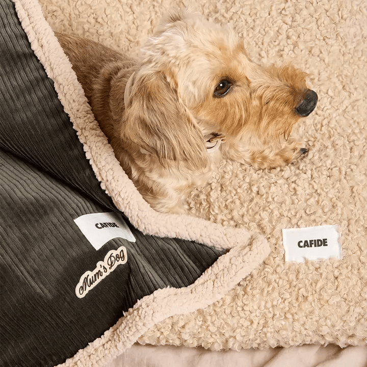 Couverture chien velours côtelé vert Toia – CAFIDE – DOG DéliCAT