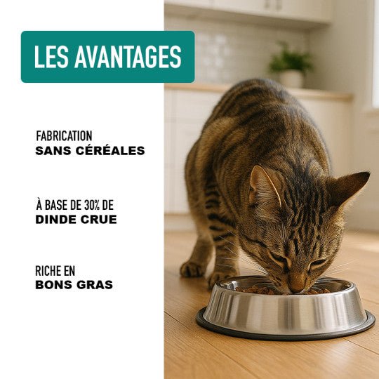 Croquettes chat sans céréales Poids idéal Atavik Dinde, Poulet & Hareng – Atavik – DOG DéliCAT