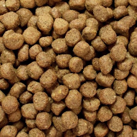 Croquettes chat sans céréales Poulet - Made in France - Nouveau Packaging - ATAVIK - DOG DéliCAT