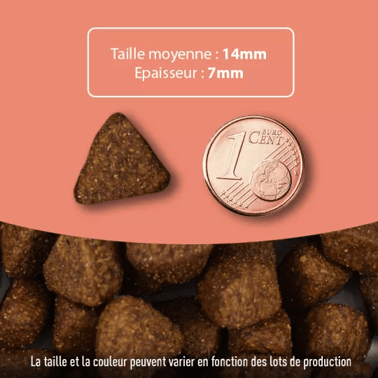 Croquettes chien sans céréales - Au Saumon - Made in France - ATAVIK - DOG DéliCAT