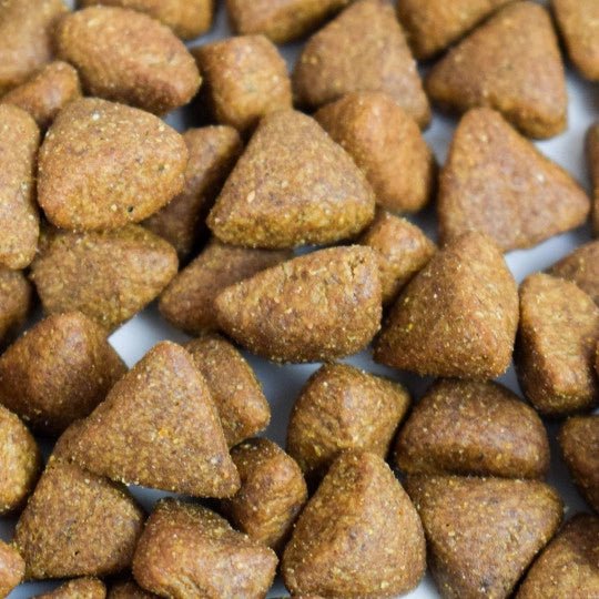 Croquettes chien sans céréales Poulet - Made in France - Nouveau Packaging - ATAVIK - DOG DéliCAT