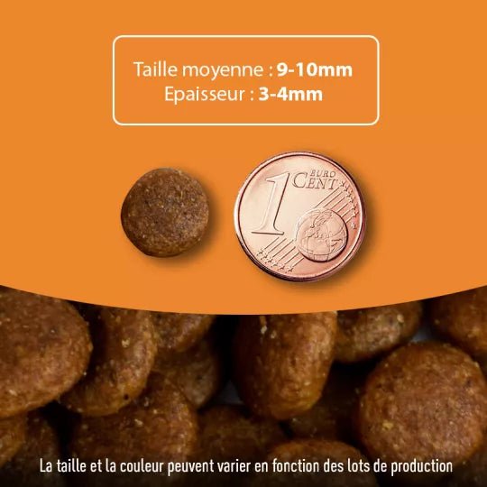 Croquettes chiot sans céréales Saumon - Poulet – Croissance & Digestion Made in France - ATAVIK - DOG DéliCAT