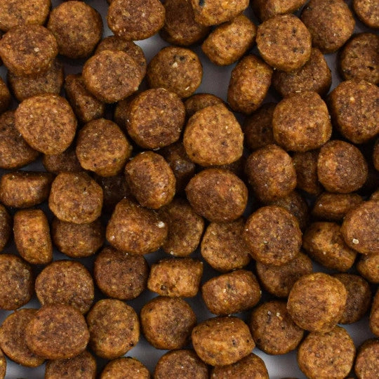 Croquettes chat sans céréales au saumon frais 🐟 – Made in France | Atavik
