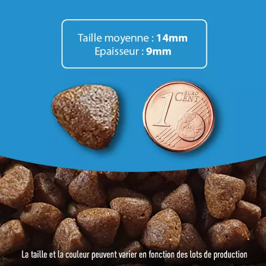 Croquettes sans céréales pour chien actif, riches en dinde et canard, fabriquées en France.
