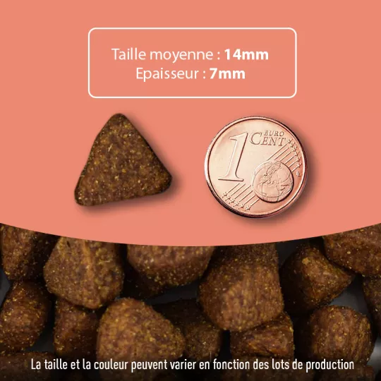 Croquettes chien sans céréales au saumon frais 🐟 – Made in France | Atavik