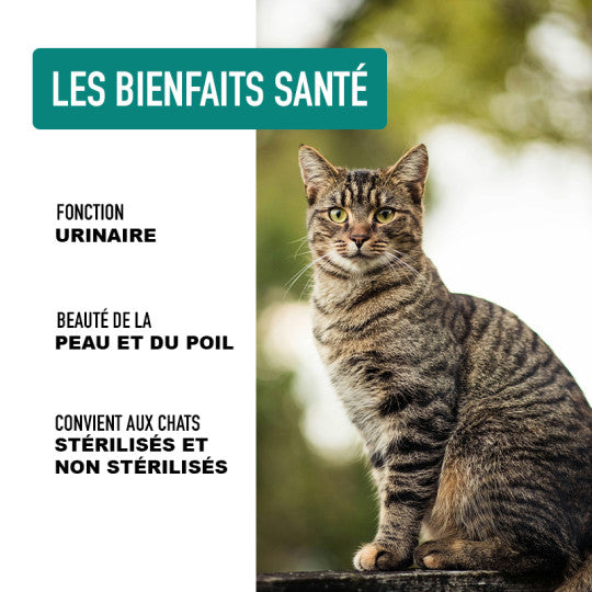Croquettes chat sans céréales Dinde Poulet Hareng – Atavik – DOG DéliCAT
