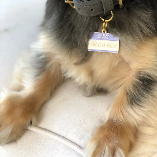 Médaille d'Identification pour Chien Good Boy