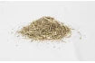 Distributeur de cataire : herbe à chats euphorisante