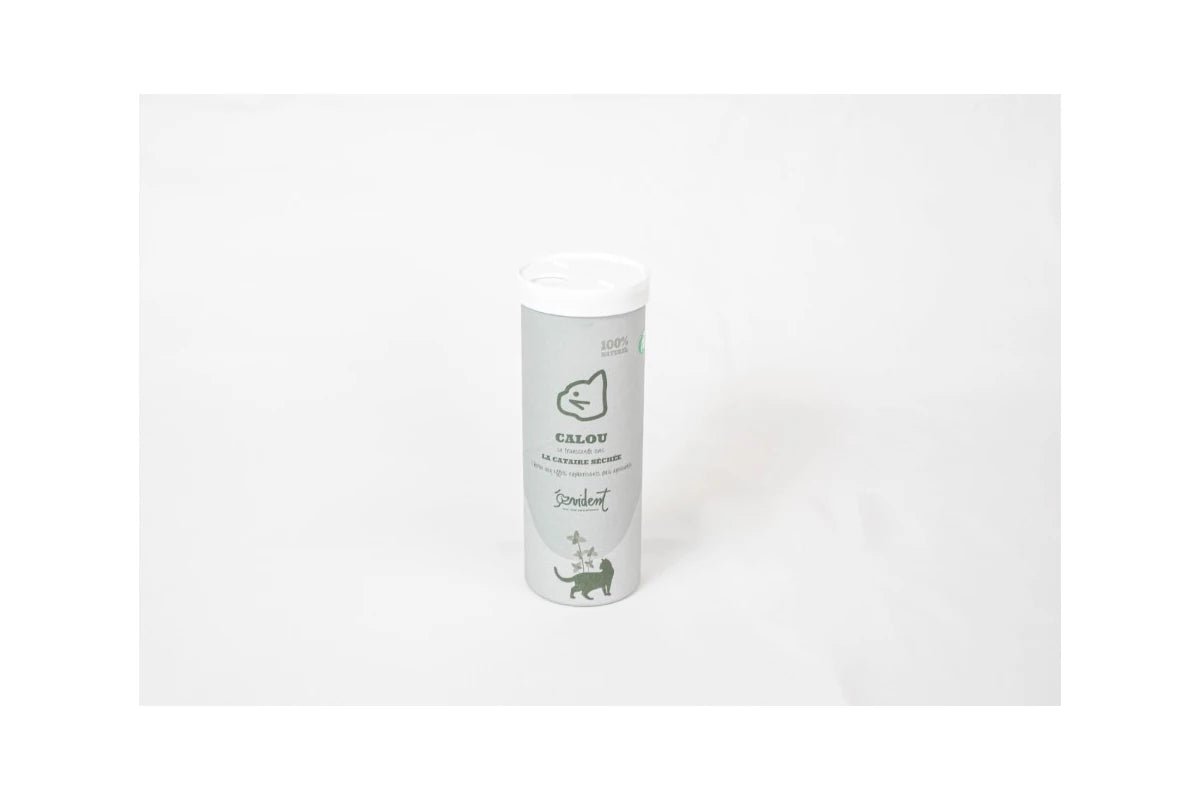 Distributeur de cataire : herbe à chats euphorisante - EVIDENT - DOG DéliCAT