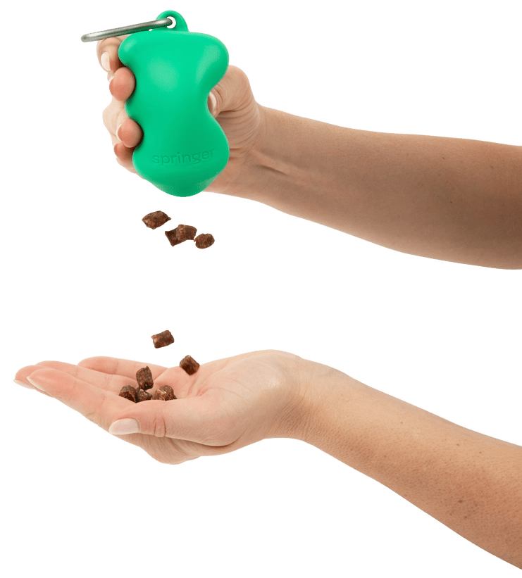 Distributeur de friandises chien en silicone Springer - 6 couleurs - SPRINGER - DOG DéliCAT