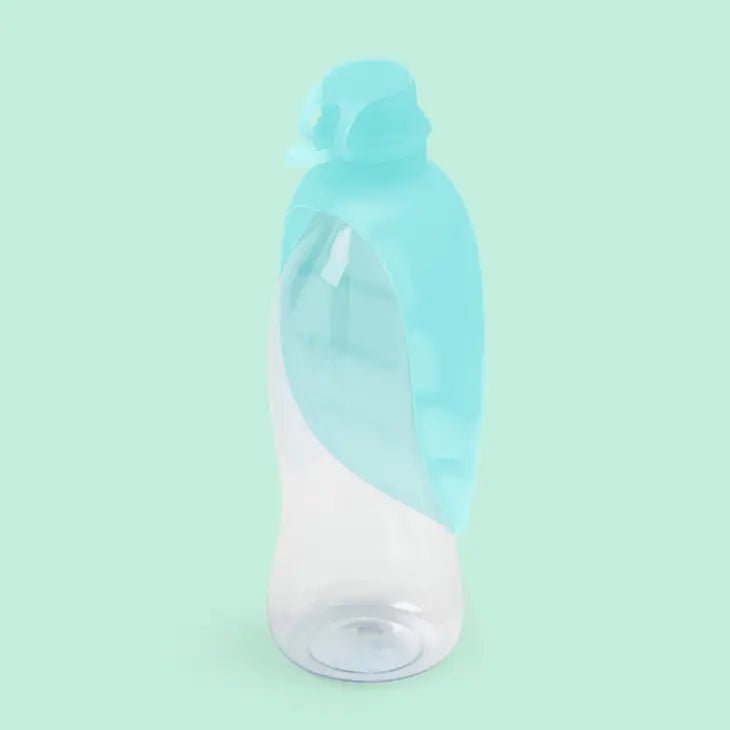 Distributeur d'eau pour chien Bleu Aquamarine (500ml) - UNITED PETS - DOG DéliCAT