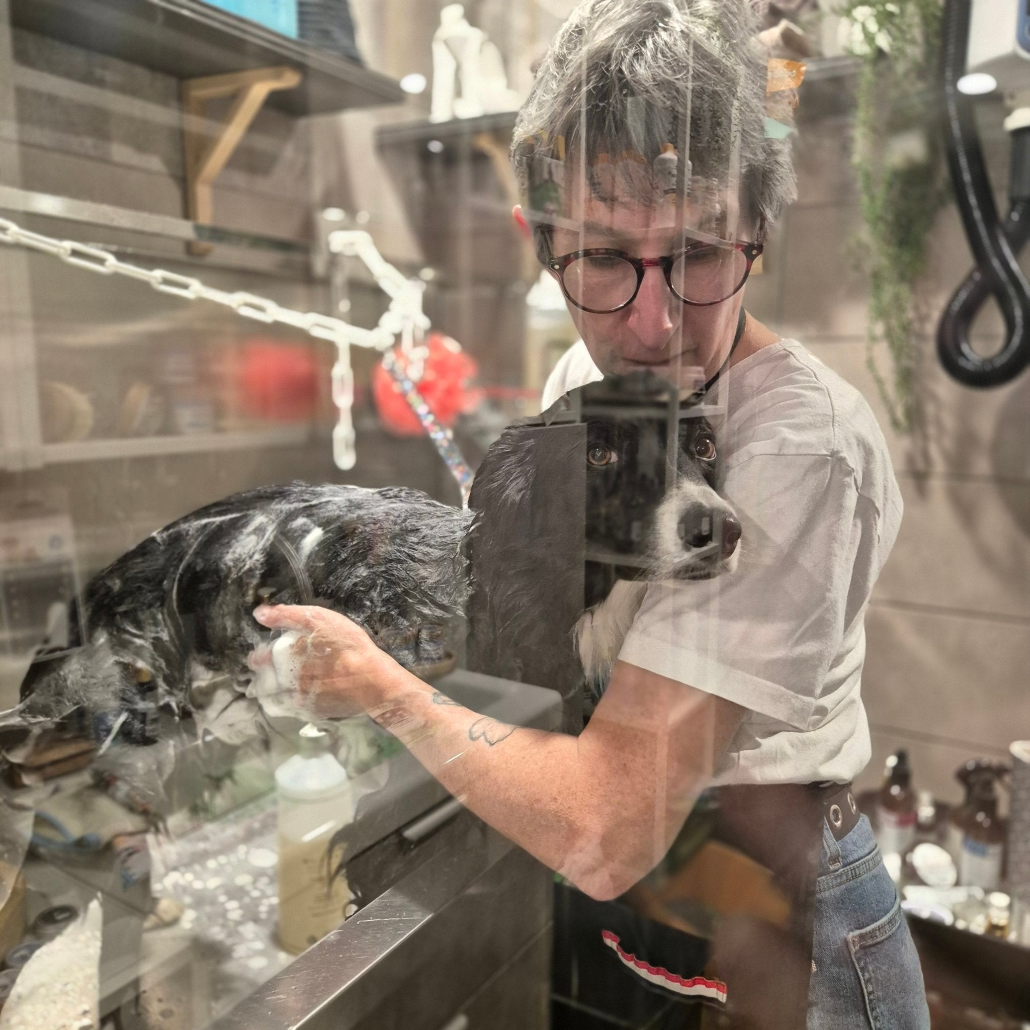DOG WASH LIBRE - SERVICE – Salle de bains privative pour chien à Thionville - DOG DéliCAT - DOG DéliCAT