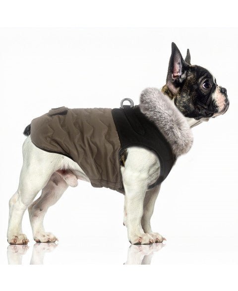 Doudoune Harnais Intégré AUGUSTE pour Chien – Marron / Fourrure Taupe - MILK&PEPPER - DOG DéliCAT