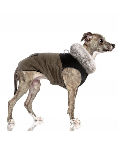 manteau chien fourrure taupe zip dorsal déperlant
