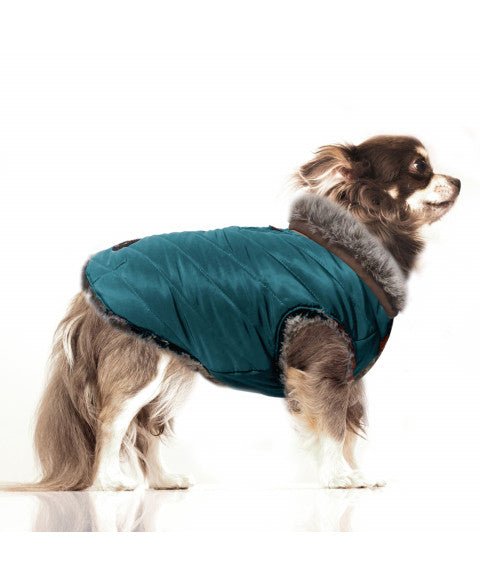 Doudoune réversible Orson pour chien – Bleu Pétrole / Fourrure Marron - MILK&PEPPER - DOG DéliCAT