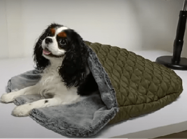 Duvet cocon Glencoe – Couchage réversible chic pour chien et chat - MILK&PEPPER - DOG DéliCAT