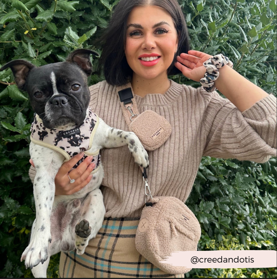 Pochette à friandises pour Chiens – Teddy Rupert