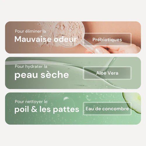 Eau Micellaire sans Rinçage pour Chien – Prébiotiques & Aloe Vera – Nettoyant  Hydratant - FUR LOVE - DOG DéliCAT