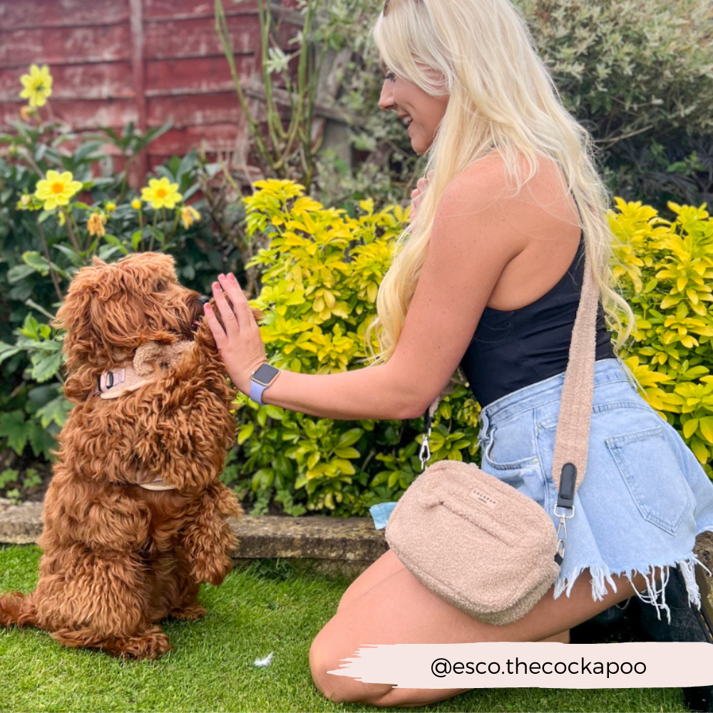 Sac de promenade pour chien - Teddy Rupert