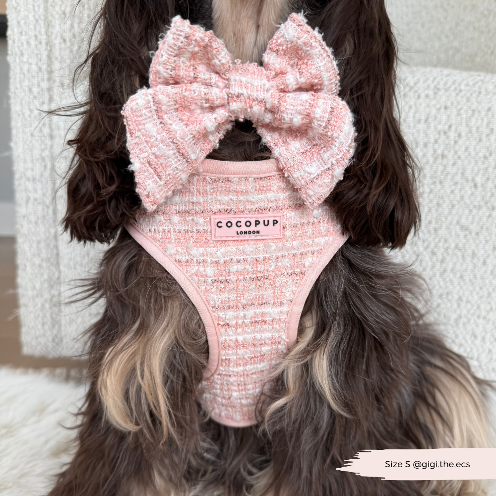 Nœud Papillon Marin pour chien en Tweed Texturé Rose