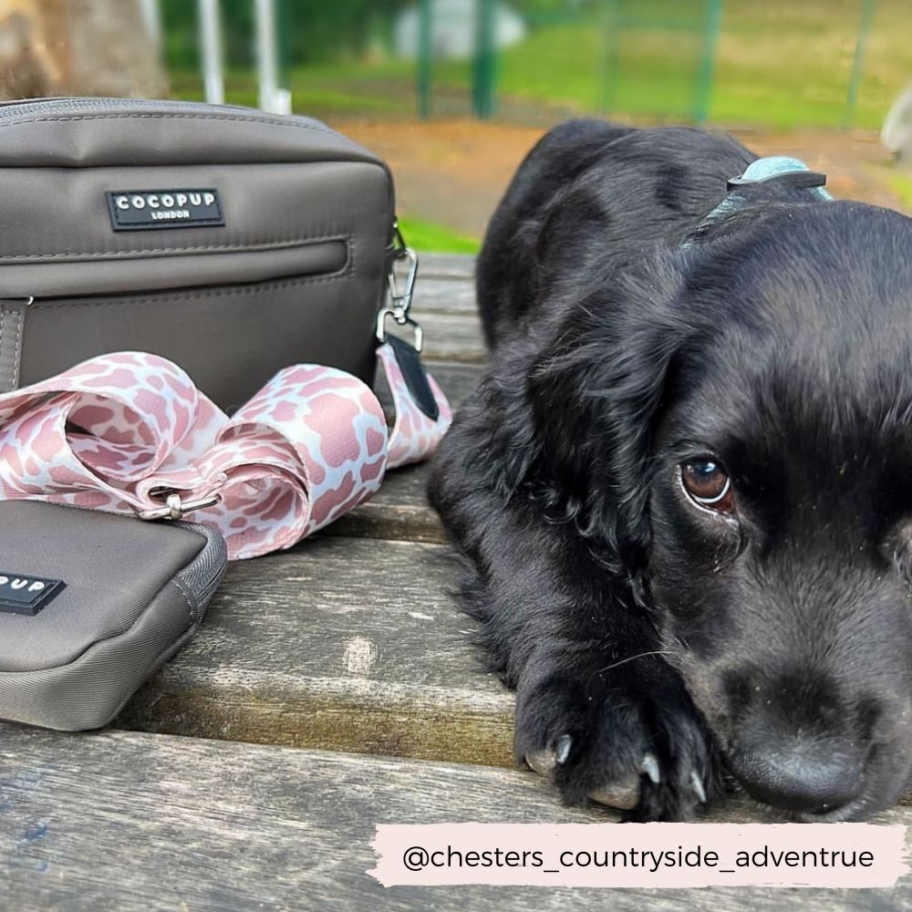 Sac de promenade pour chien - Moka