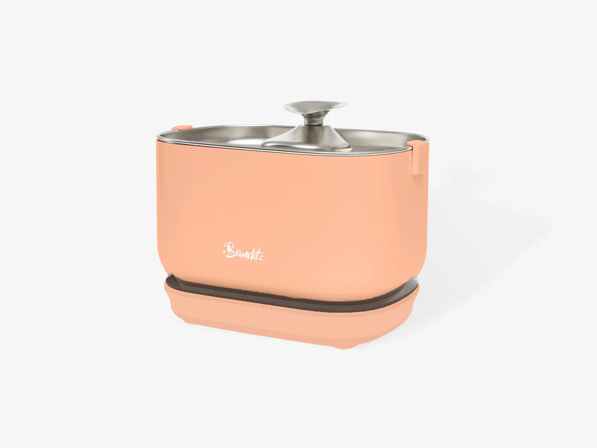 Fontaine à eau filaire pour chat Bandit – Hydratation saine et silencieuse - BANDIT - DOG DéliCAT