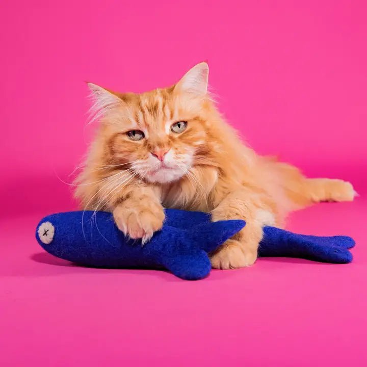 Freddy The Big Fish - Jouet en Feutre de Laine pour Chat - MIMI'S DAUGHTER - DOG DéliCAT
