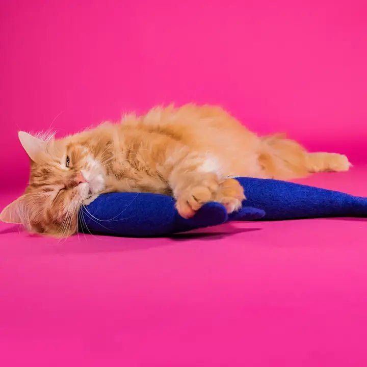 Freddy The Big Fish - Jouet en Feutre de Laine pour Chat - MIMI'S DAUGHTER - DOG DéliCAT