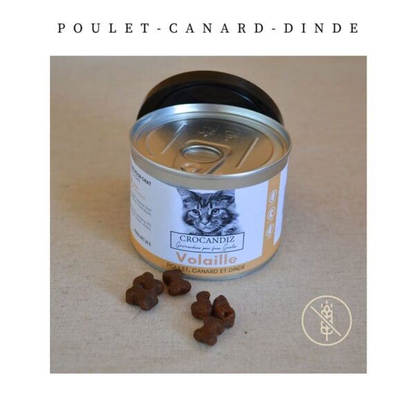 Friandises pour Chats - 3 Volailles - Source de Protéines et Minéraux - CROCANDIZ - DOG DéliCAT