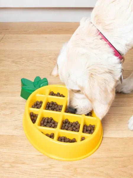 Gamelle Anti - Glouton Ananas Happy Bowl 🍍 - ZIPPY PAWS - DOG DéliCAT