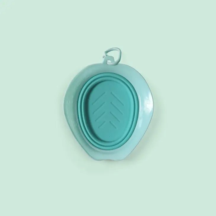 Gamelle de voyage pour chien pliable Bleu Aquamarine (250ml) - UNITED PETS - DOG DéliCAT