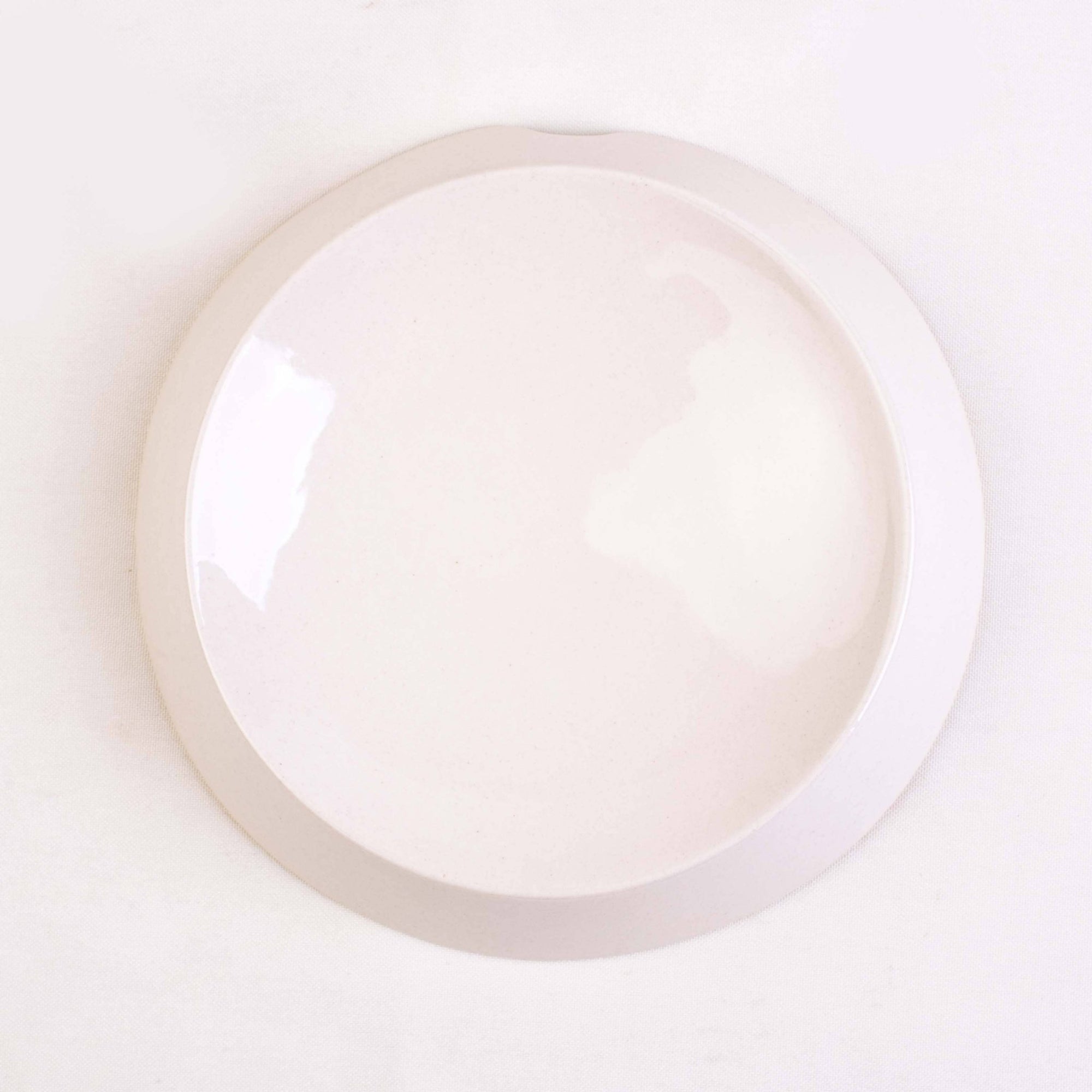 Gamelle en céramique parabolique – Confort & hygiène pour chats sensibles - Miaustore - DOG DéliCAT