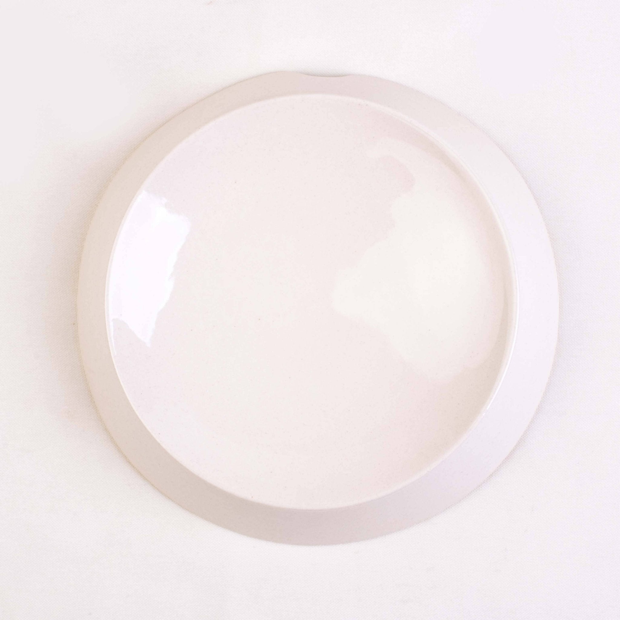 Gamelle en céramique parabolique – Confort & hygiène pour chats sensibles - Miaustore - DOG DéliCAT