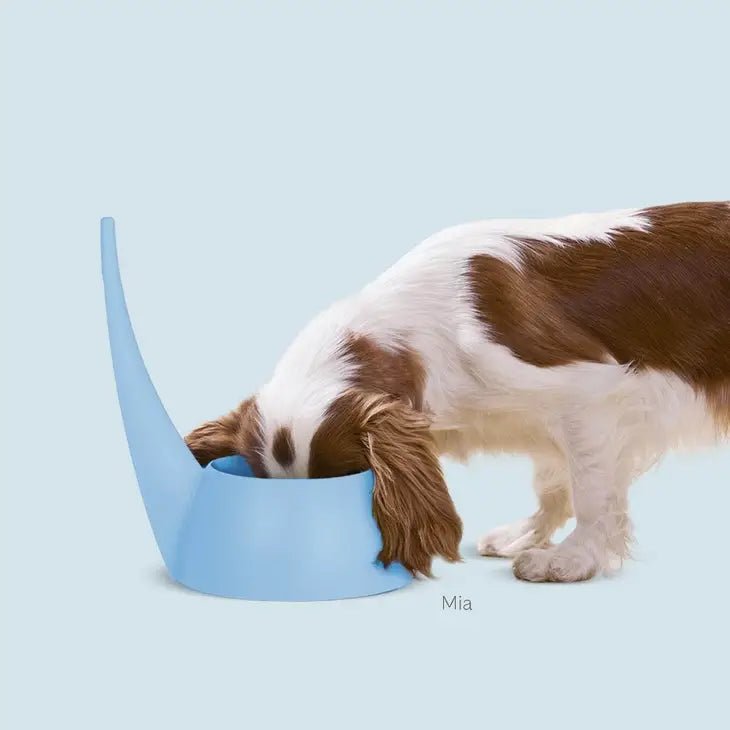 Gamelle étroite pour chiens à longues oreilles - UNITED PETS - DOG DéliCAT