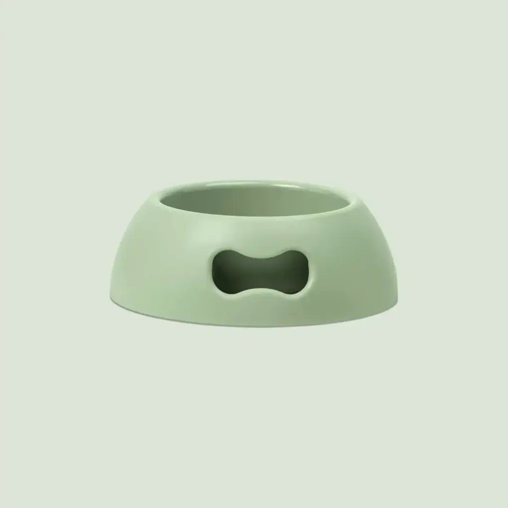 Gamelle pour chien écologique et indestructible - UNITED PETS - DOG DéliCAT