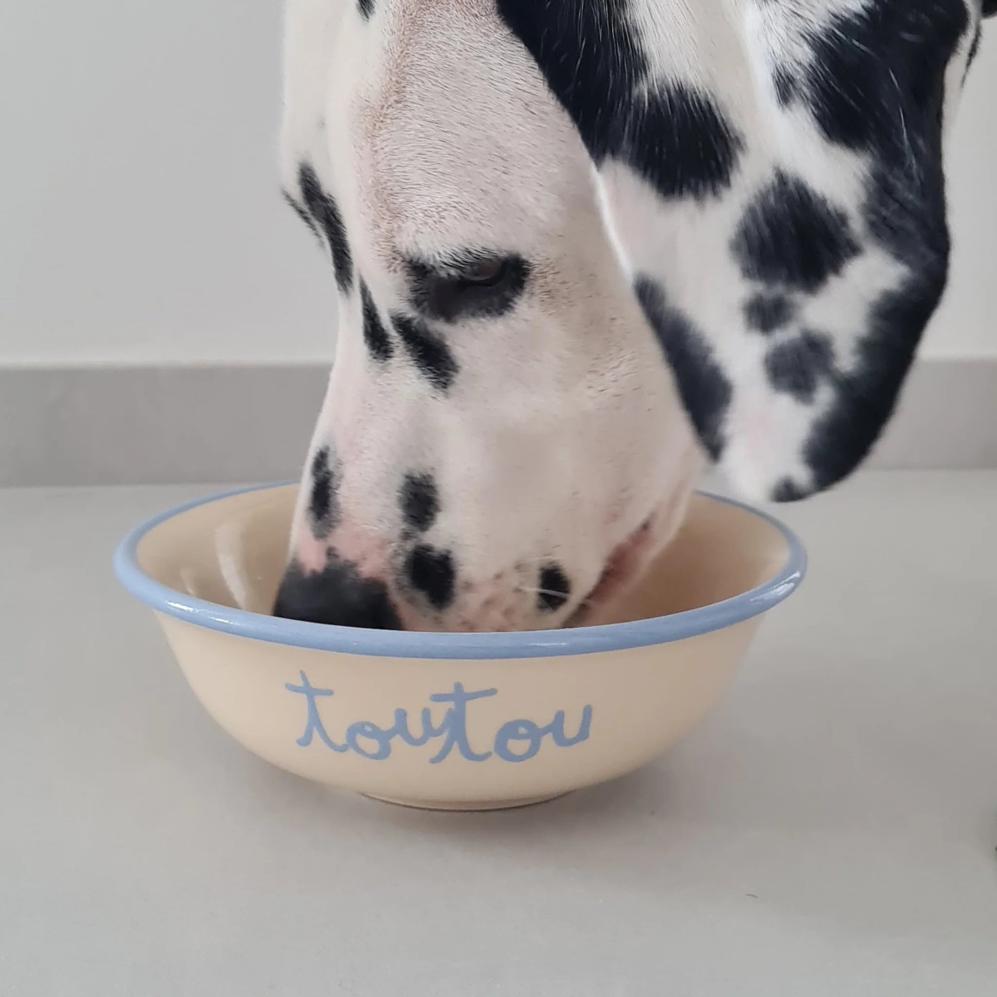Gamelle artisanale pour chien Toutou ou D’amour bleu rose – DOG DéliCAT