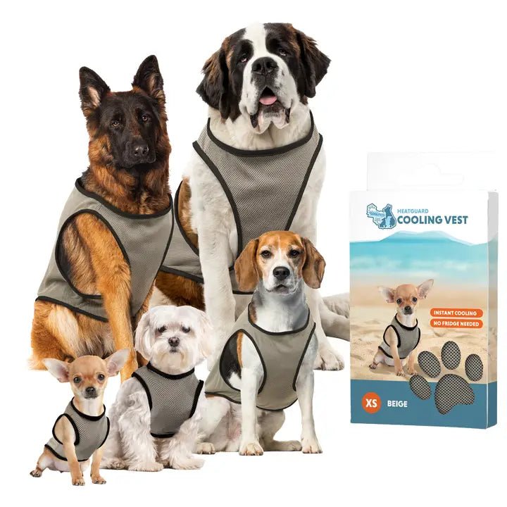 Gilet rafraîchissant pour chien Coolpets – Hofman Animal Care – DOG DéliCAT  