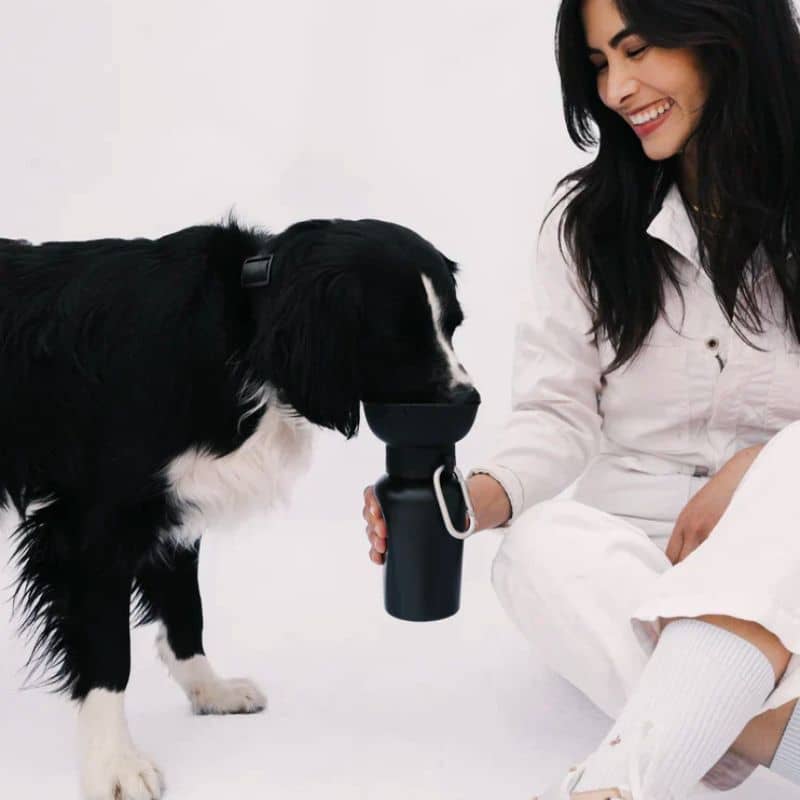 Gourde chien 590 ml étanche & pliable Springer Flip - 6 couleurs - SPRINGER - DOG DéliCAT