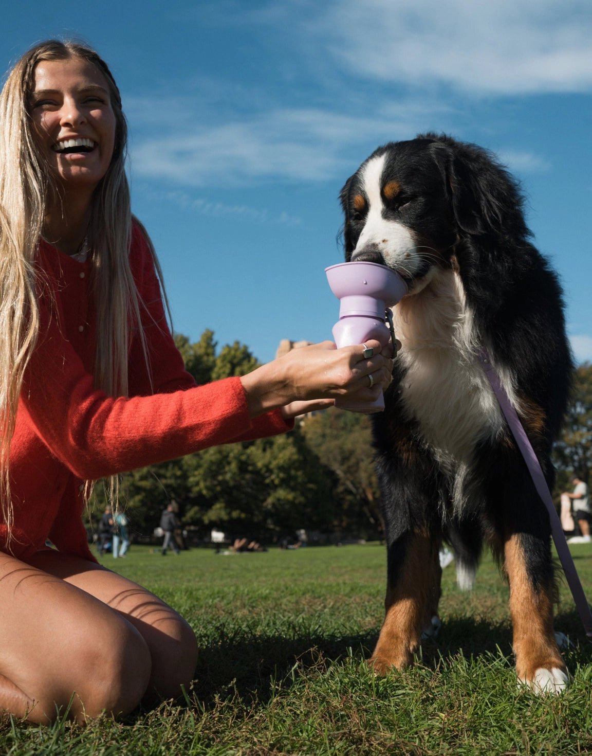 Gourde chien 590 ml étanche & pliable Springer Flip - 6 couleurs - SPRINGER - DOG DéliCAT