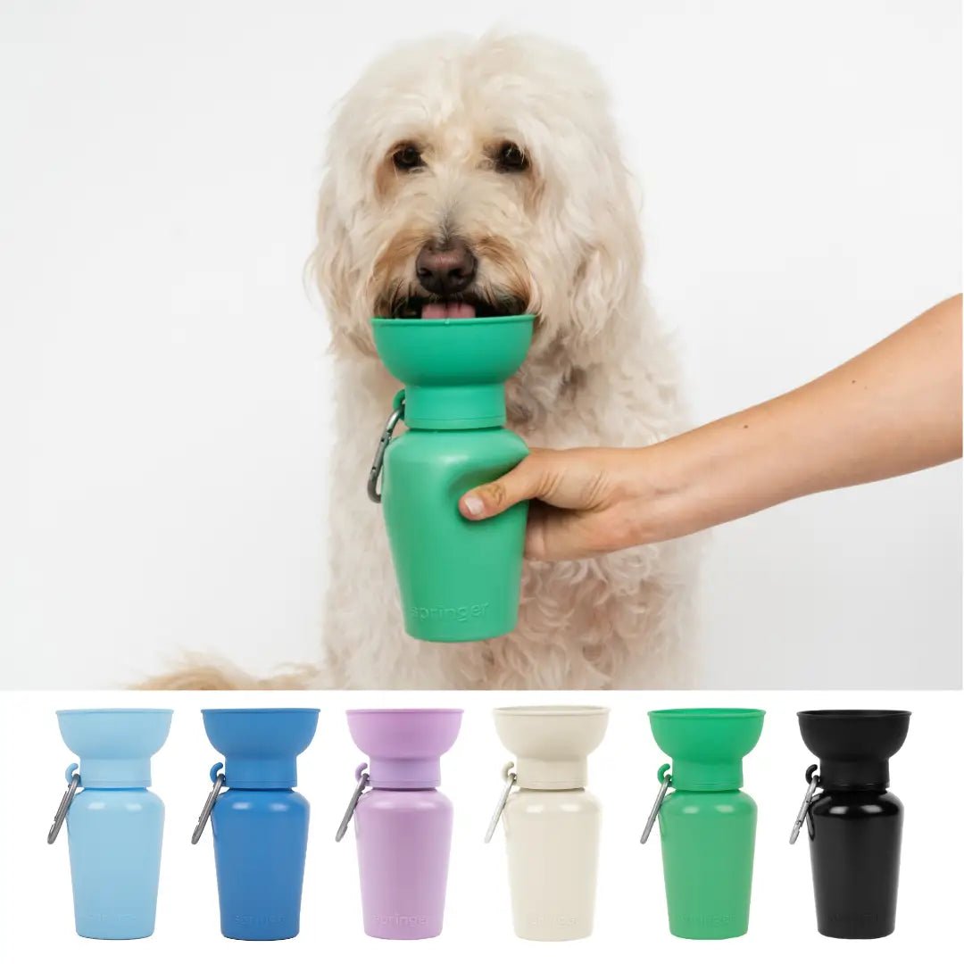 Gourde chien 590 ml étanche & pliable Springer Flip - 6 couleurs - SPRINGER - DOG DéliCAT