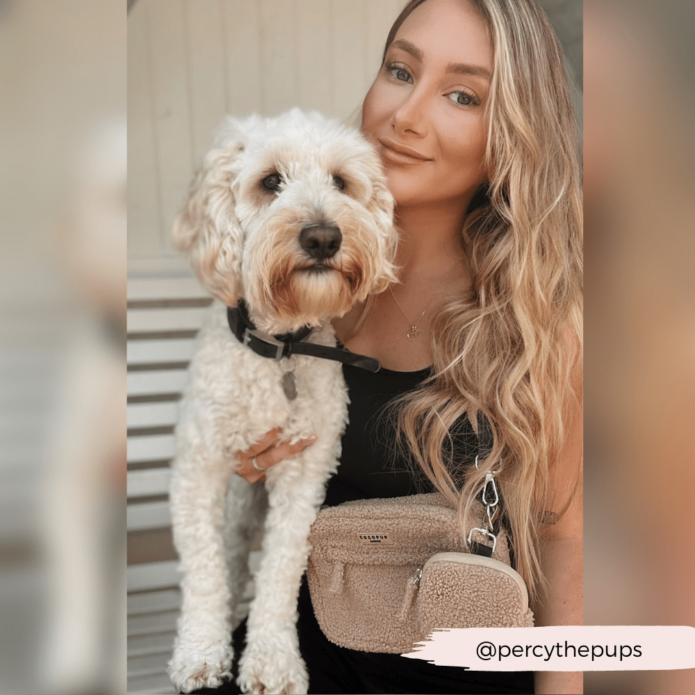 Grand sac promenade chien Teddy Rupert – XL & moelleux - COCOPUP LONDON - DOG DéliCAT
