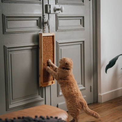 Griffoir modulable pour chat Up & Down Martin Sellier – Sensation Vietnam – DOG DéliCAT