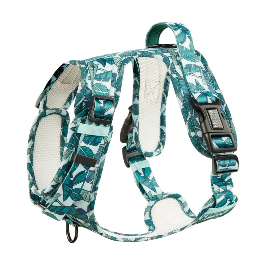 Harnais chien anti-traction Amazonia vert palmier - Arizona Hotdogs - DOG DéliCAT